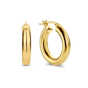 Bibbiena Poppi Casentino 925 sterling zilveren gold plated oorringen met 14 karaat gouden plating